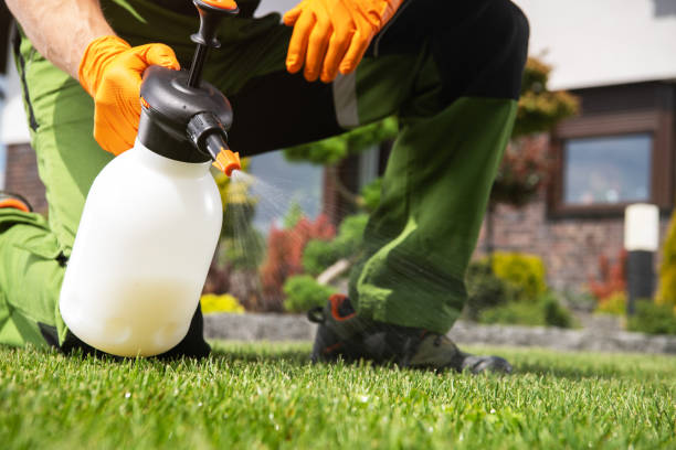 Best Pest Removal Services  in Ahwahnee, CA