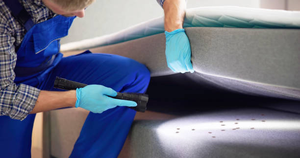 Best Ant Control Services  in Ahwahnee, CA