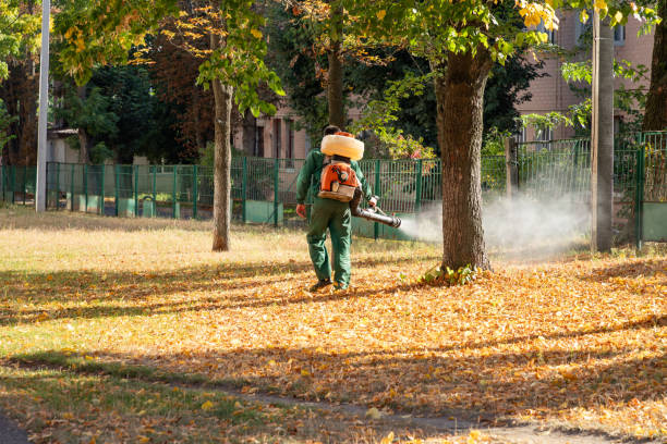 Best Pest Prevention Services  in Ahwahnee, CA