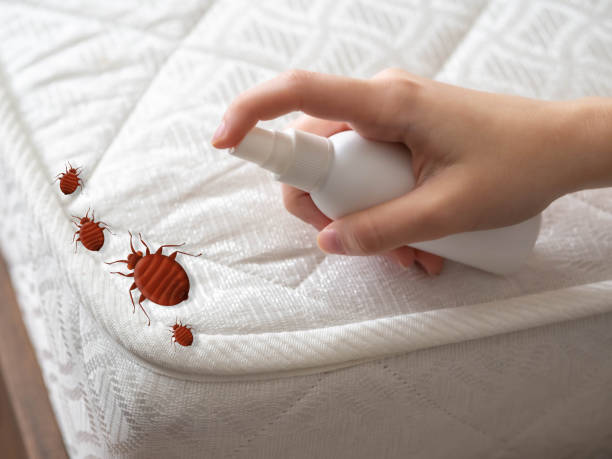 Best Best Pest Control Companies  in Ahwahnee, CA