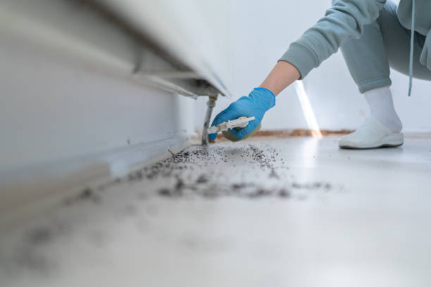 Best Pest Control for Restaurants  in Ahwahnee, CA